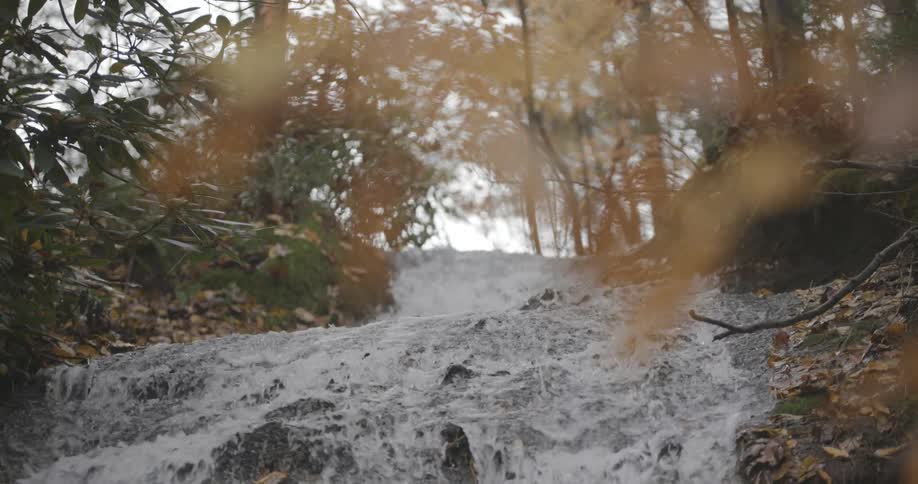 Water fall in a forest area in the fall with trees moss and fallen leaves on either side of the water