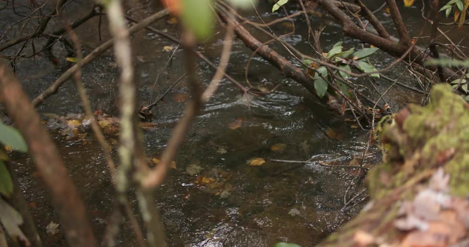 Water flowing in a river