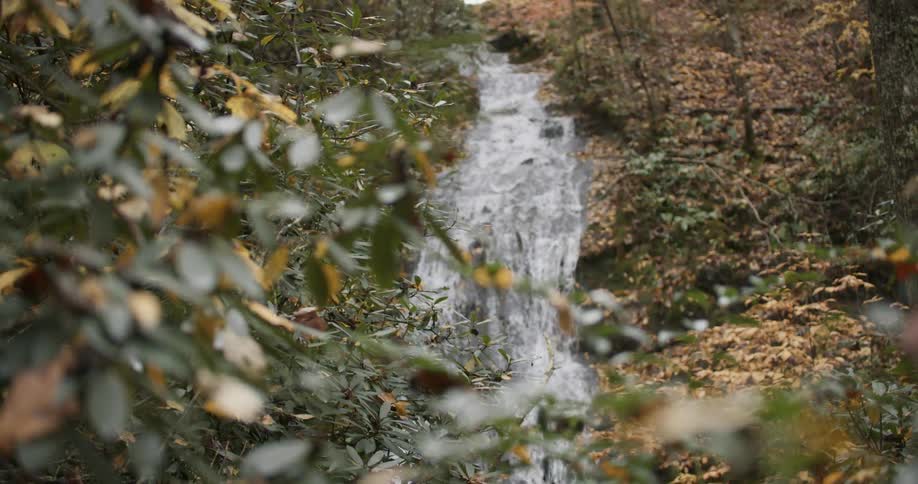 River streaming down a hill forming a gentle waterfall in the forest