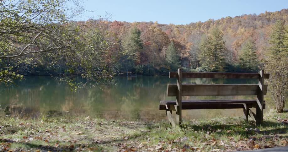 A wooden bench on the side of a lake surrounded by forest under a clear blue sky