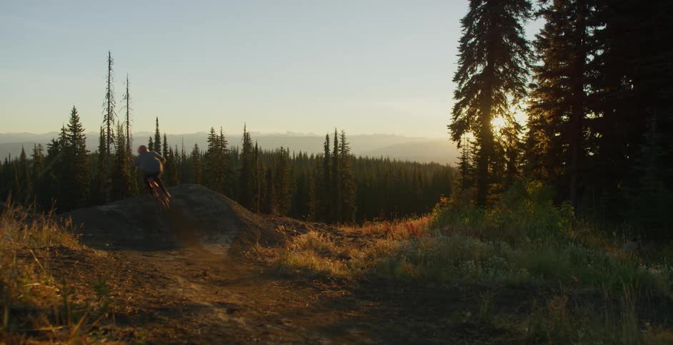 Bicyclists rides along path through conifer forest taking jump as sun sits above horizon