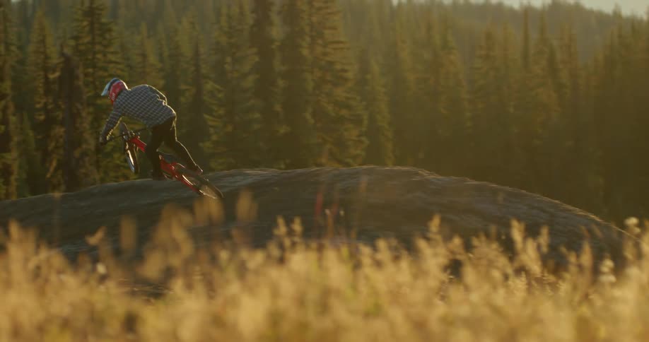 Cyclist rides a mountain bicycle on a dirt road on the forest at sunset