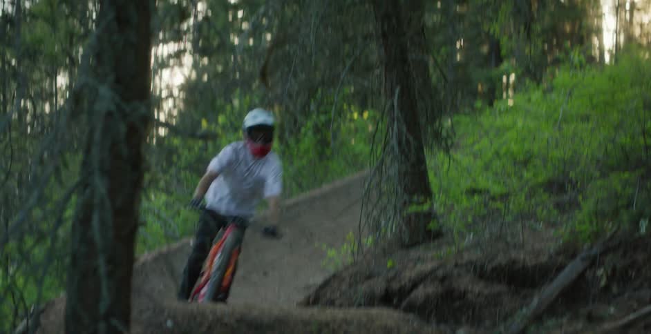 Cyclist rides a mountain bicycle down a dirt track in the forest at sunset