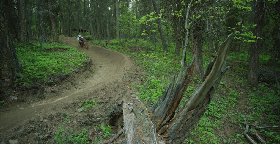 A person rides a bike on a dirt trail through a forest in the daytime