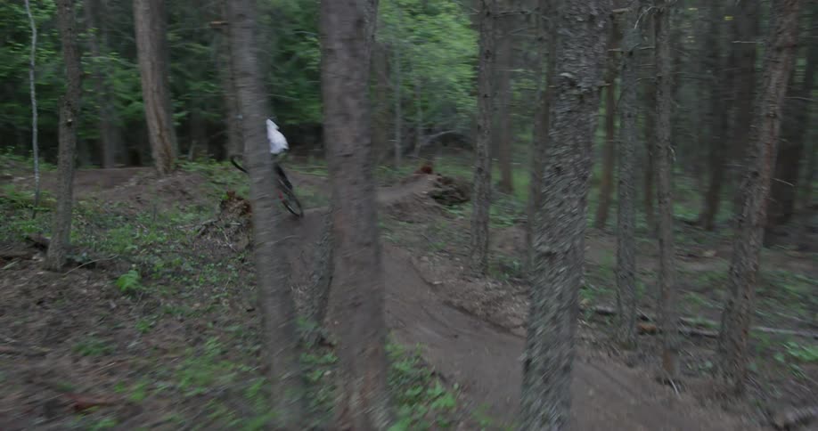 Person rides bicycle along trail through forest taking a jump and popping a wheelie