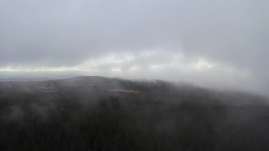 Fog obscures forest and hills