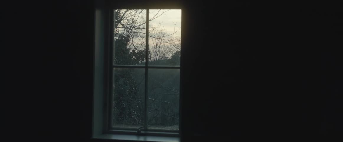 The sun provides little light through the trees into a window
