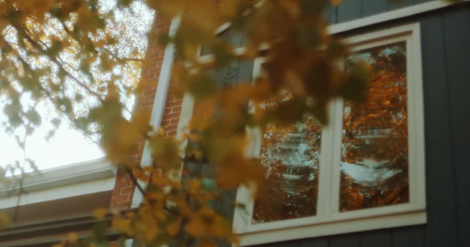 Extrior of a house with gray siding red bricks and a double window with a tree with changing colored leaves