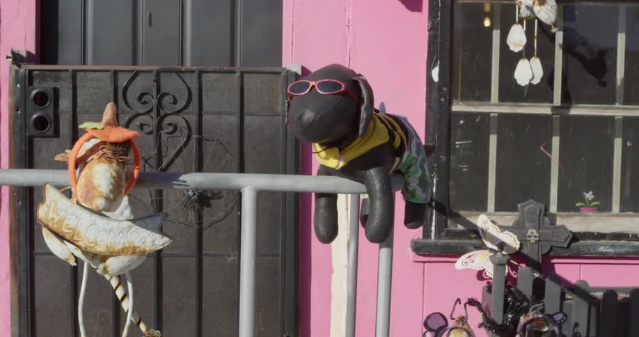 Exterior of a pink house with a black door with art and a black inflatable dog with sunglasses on