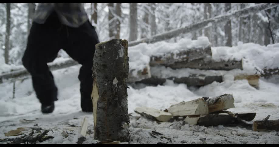 A man with an ax splitting a log in a snowy forest with trees the sky and clouds in the background