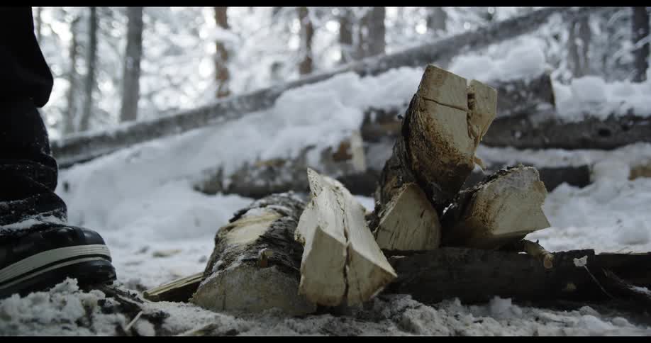 A person is outside and adds logs to a pile surrounded by snow and trees during the day