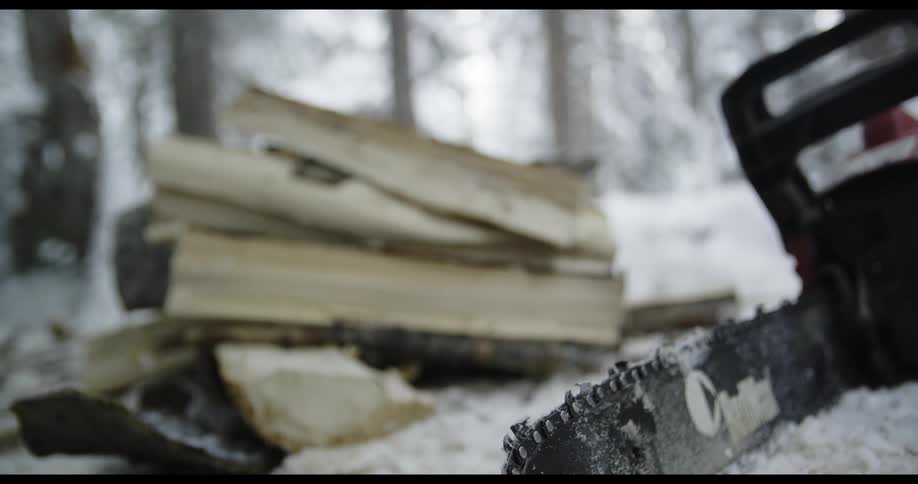 A chainsaw laying on snowy ground in the woods next to chopped wood