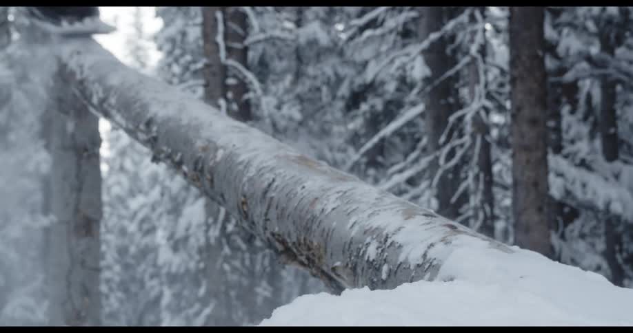 A person snowboarding up a log with trees the sky and clouds in the background