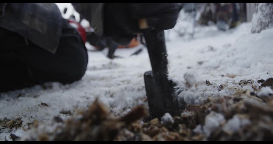 Person uses shovel to dig hole beyond the snowy ground