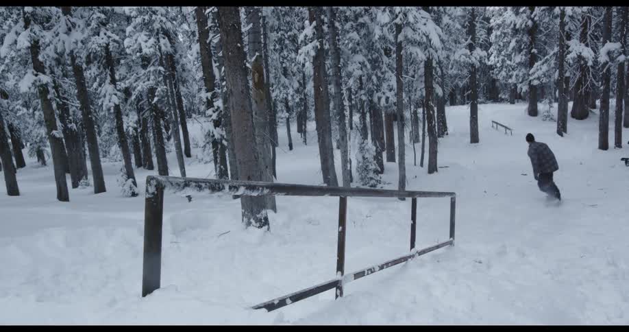 A man snowboards down a railing in a snow covered forest