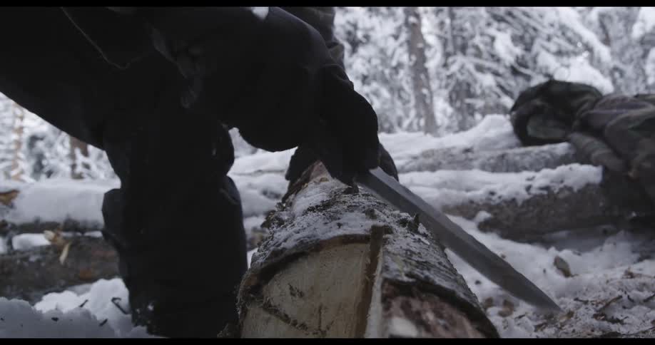 Person wearing cold weather gear peels bark off tree laying on snow covered ground in forest