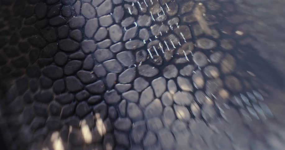 A close up of black texture with pebble shapes with shadows