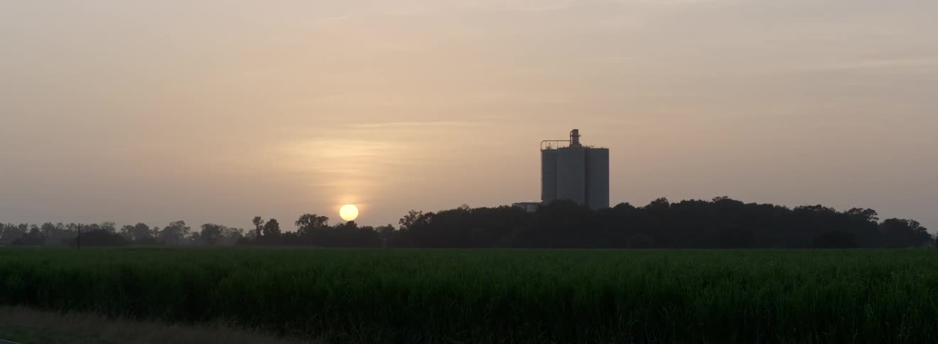 The sun hovers above the treetops