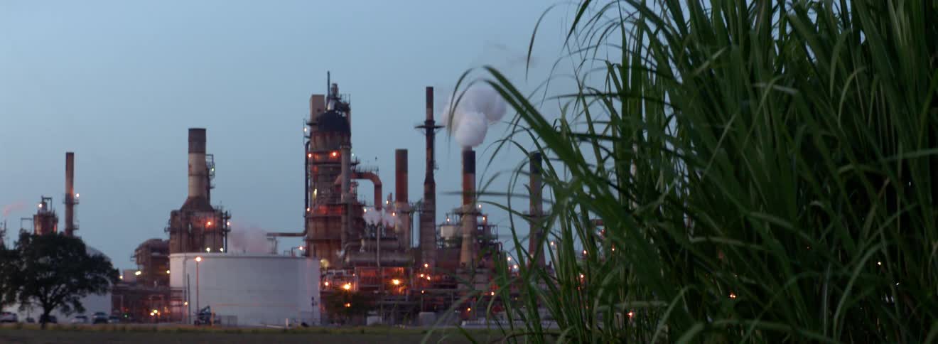 Behind some tall grass a large refinery plant can be see in the background