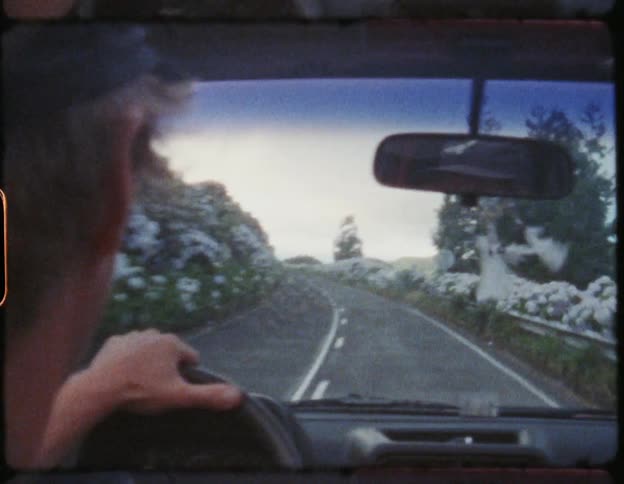 A film strip of a man driving down a road lined with flowers