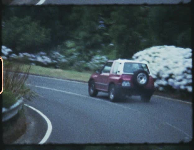 Red car driving on a winding road in the daytime past trees and other green vegetation