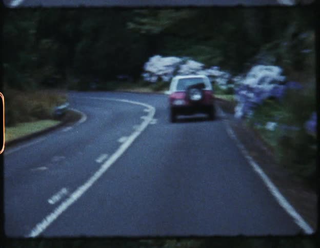 A red car drives along a paved road with trees and blooming bushes