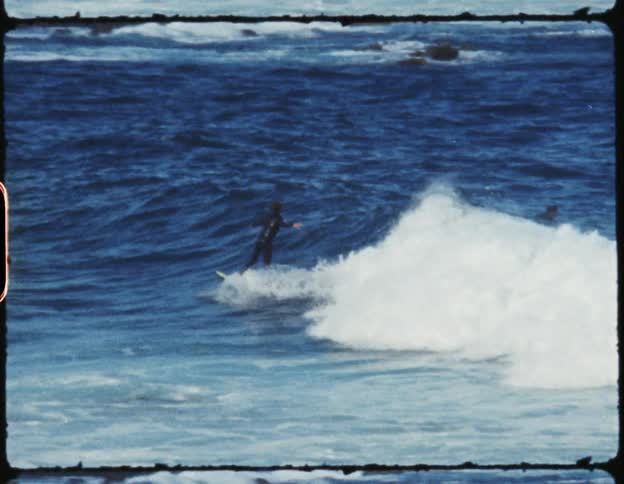 Surfer rides wave as boat sails in background and bird flies overhead