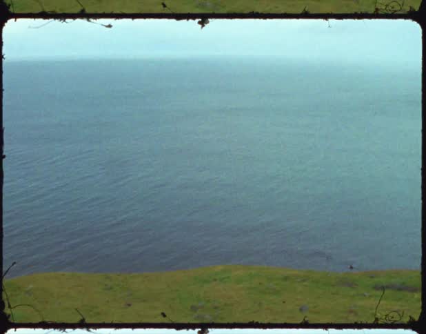 A film of a grassy shore and a body of water
