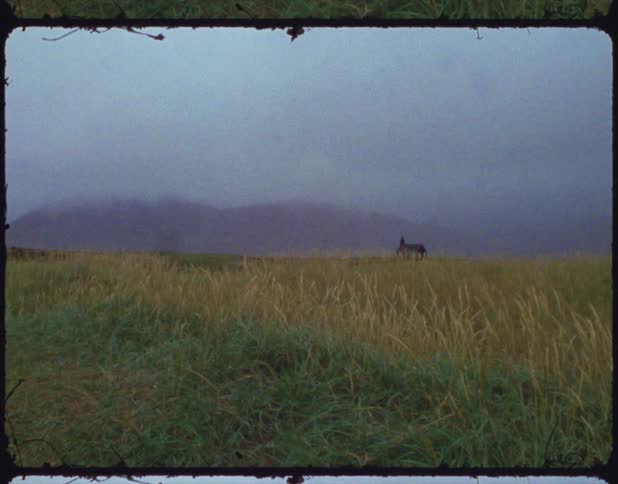 Weather front obscures mountains on horizon near house as wind blows grain stalks