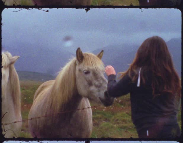 A vintage film of people petting horses in a field