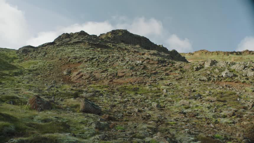 An incline of green grass and rocky terrain with soil