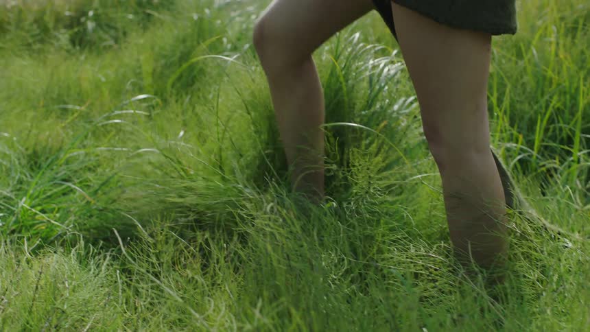 A barelegged person wearing a sweater walks through tall grass on a sunny day