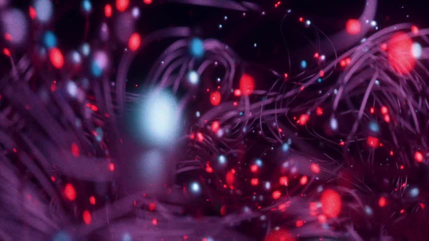 A dark space is crowded with computer animations of colorful moving dots followed by purple lines