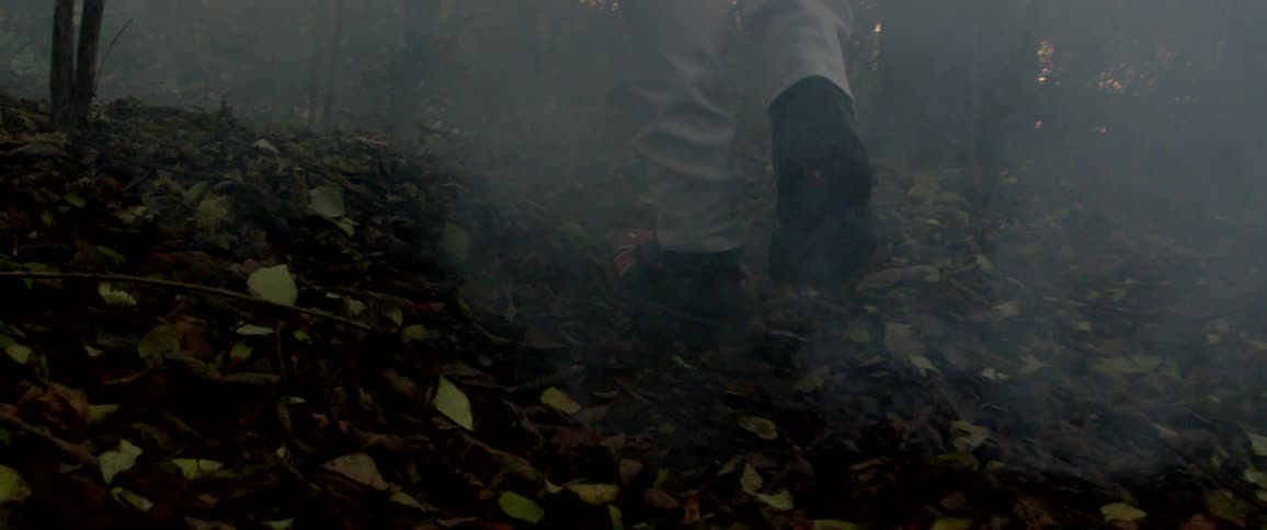 A person walking into a forest with a large amount of fog