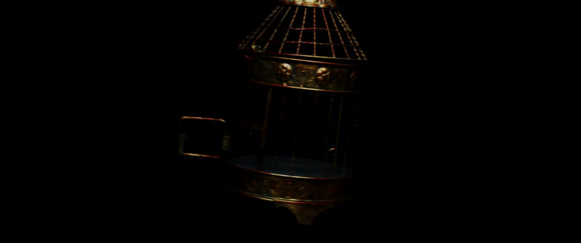 Birdcage swings on the dark background
