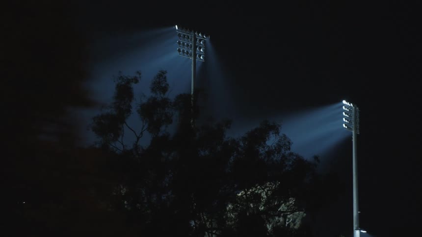 Lights shining down on a tree covered area with a flag and canon with some streetlights