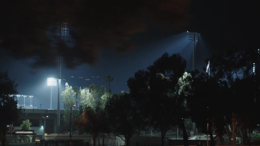 A stadium with spotlights and a flag with trees in the foreground and the sky in the background