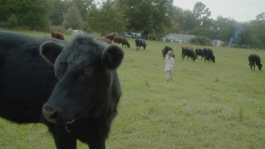 A girl running on a grassy field with cows with trees the sky and clouds in the background