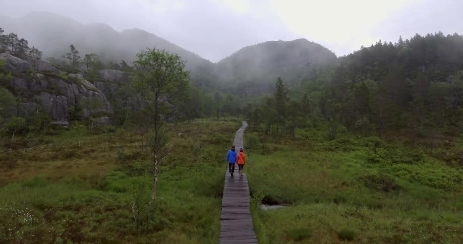 Two people walking on a wooden path through a misty forest