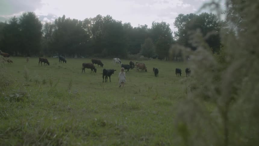 A young girl walks in a field with cows surrounded by trees