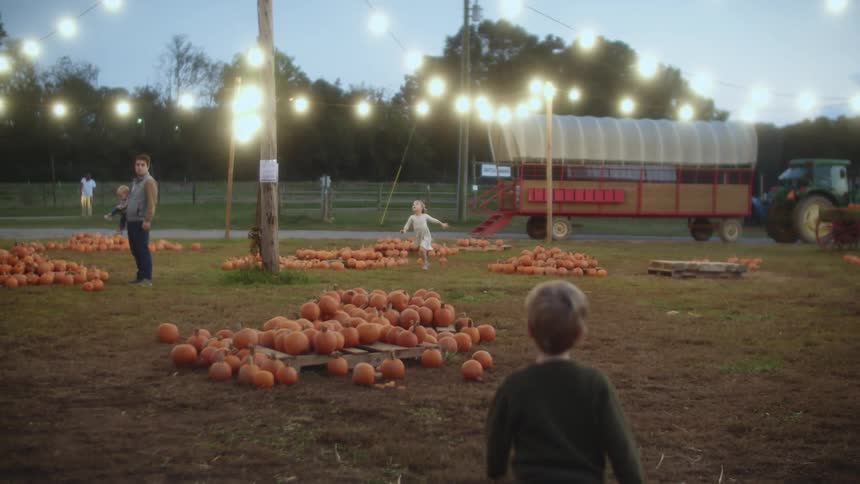 A father stands in a pumpkin patch holding his baby as his daughter and son run towards him