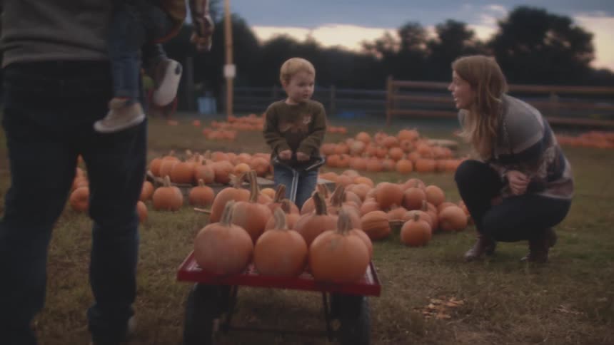 A woman approaches and kneels beside a small boy as he pulls a wagon of pumpkins through a field at sunset