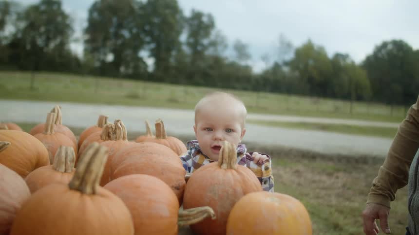 A smiling baby looks at a large group of pumpkins on a table in a field as an adult watches