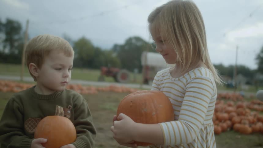 Children holding pumpkins with a tractor trees the sky and clouds in the background