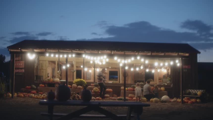 Family browses through brightly lit stall displaying pumpkins