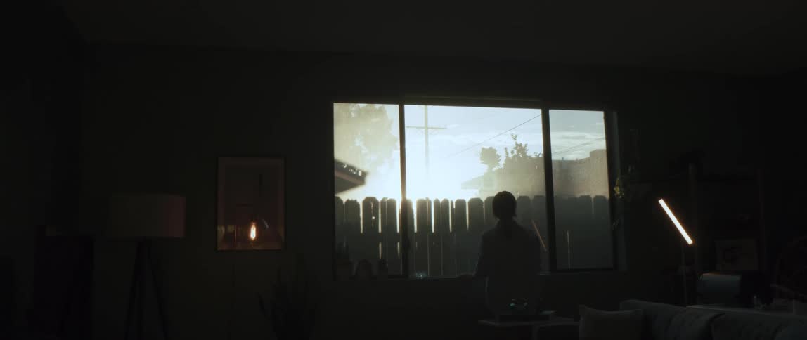 A person stands at a window inside of a house and looks out to a fence and the sky