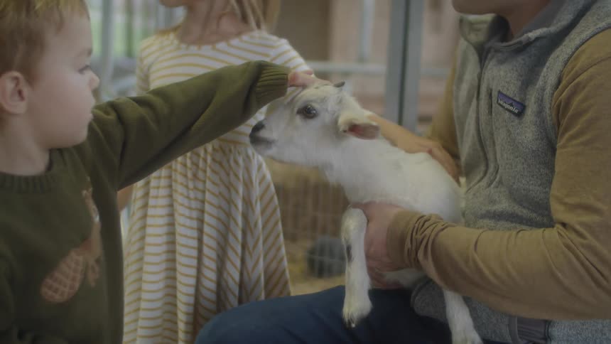 Boy and girl pet goat kid held by man