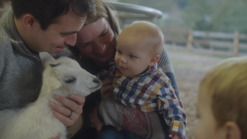 A family crowds around a baby goat