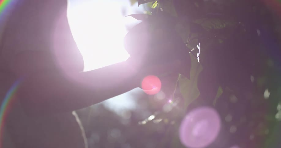 A woman wearing a white dress walks past and touches green leaves in bright sunlight