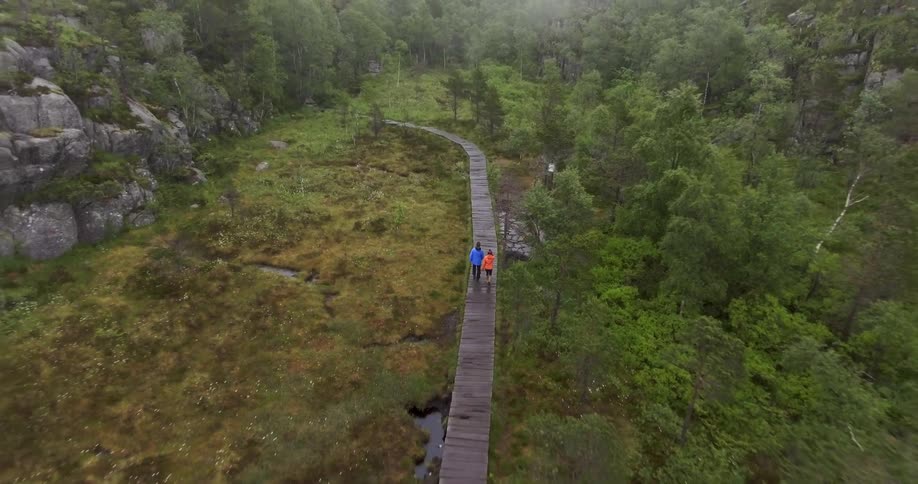 Two people walk down a path through a marsh forest